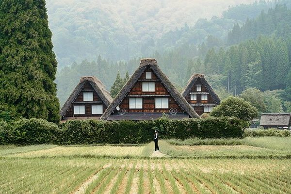 ryokou4 Shirakawago with paddy